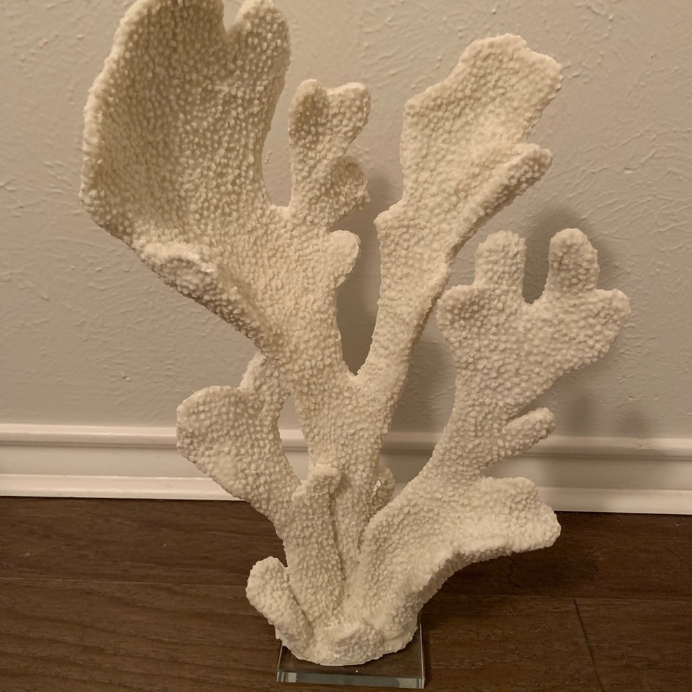 Coral on acrylic stand